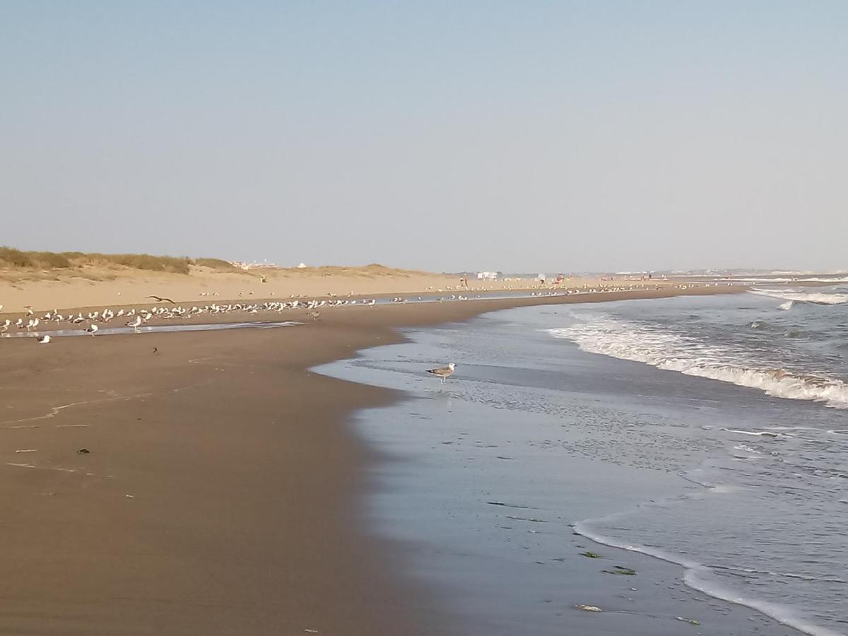 Los Pelicanos Ayamonte Εξωτερικό φωτογραφία